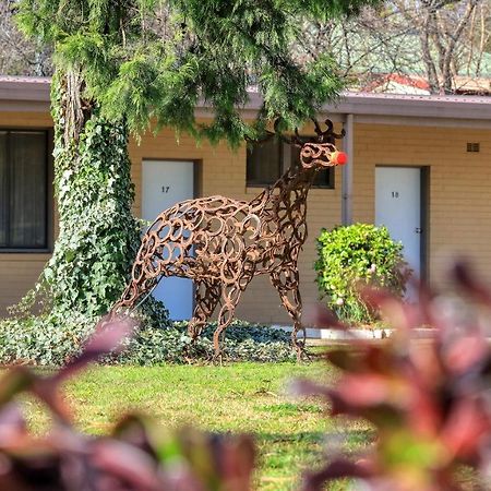 Hamilton Hume Motor Inn Yass Esterno foto